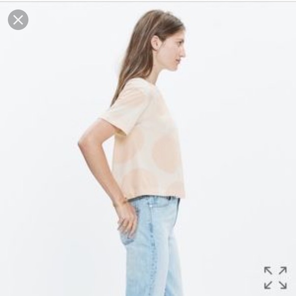 Madewell Tops - Madewell Big Dot Crop T